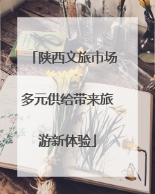 陕西文旅市场多元供给带来旅游新体验