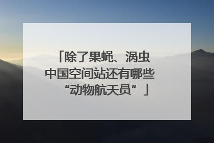除了果蝇、涡虫 中国空间站还有哪些“动物航天员”