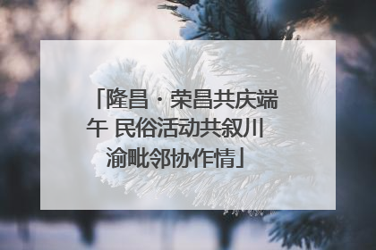隆昌・荣昌共庆端午 民俗活动共叙川渝毗邻协作情