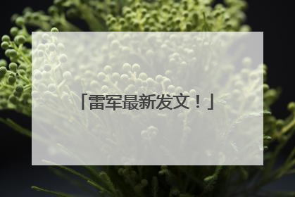 雷军最新发文！