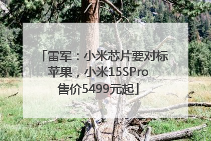 雷军：小米芯片要对标苹果，小米15SPro售价5499元起