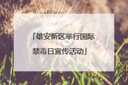 雄安新区举行国际禁毒日宣传活动