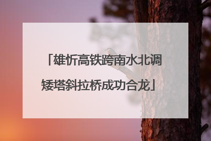 雄忻高铁跨南水北调矮塔斜拉桥成功合龙