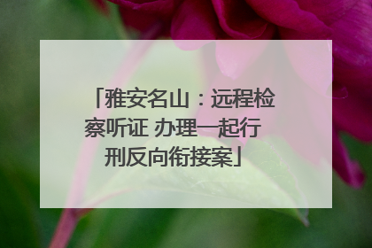 雅安名山：远程检察听证 办理一起行刑反向衔接案