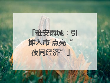 雅安雨城：引摊入市 点亮“夜间经济”