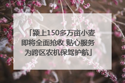颍上150多万亩小麦即将全面抢收 贴心服务为跨区农机保驾护航