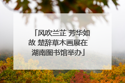 风吹兰芷 芳华如故 楚辞草木画展在湖南图书馆举办