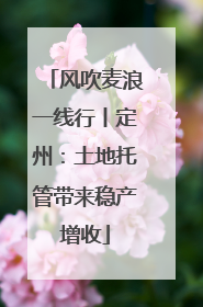风吹麦浪一线行丨定州：土地托管带来稳产增收