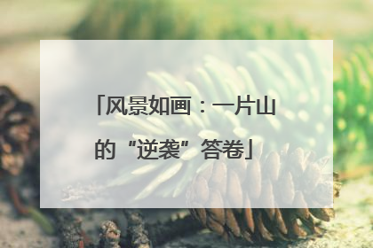 风景如画：一片山的“逆袭”答卷