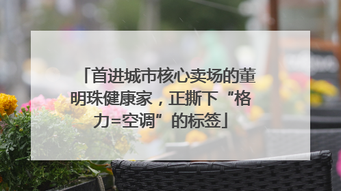首进城市核心卖场的董明珠健康家，正撕下“格力=空调”的标签