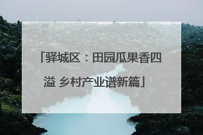 驿城区：田园瓜果香四溢 乡村产业谱新篇