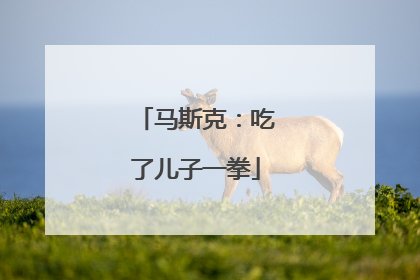 马斯克：吃了儿子一拳