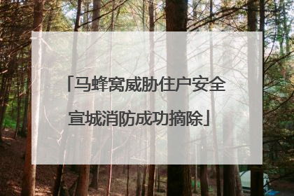 马蜂窝威胁住户安全 宣城消防成功摘除