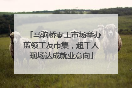 马驹桥零工市场举办蓝领工友市集，超千人现场达成就业意向