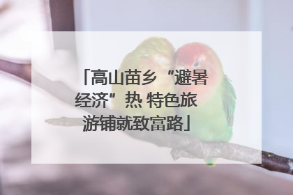 高山苗乡“避暑经济”热 特色旅游铺就致富路