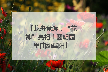龙舟竞渡，“花神”亮相！圆明园里曲动端阳