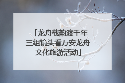 龙舟载韵渡千年 三组镜头看万安龙舟文化旅游活动