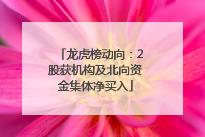 龙虎榜动向：2股获机构及北向资金集体净买入