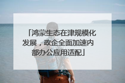 鸿蒙生态在津规模化发展，政企全面加速内部办公应用适配