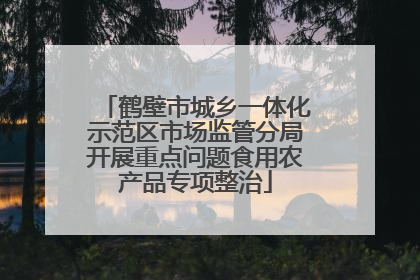 鹤壁市城乡一体化示范区市场监管分局开展重点问题食用农产品专项整治