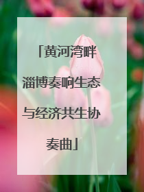 黄河湾畔 淄博奏响生态与经济共生协奏曲