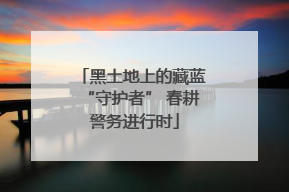 黑土地上的藏蓝“守护者” 春耕警务进行时