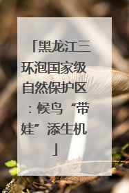 黑龙江三环泡国家级自然保护区：候鸟“带娃”添生机