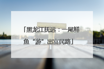 黑龙江抚远：一尾鲜鱼“游”出富民路