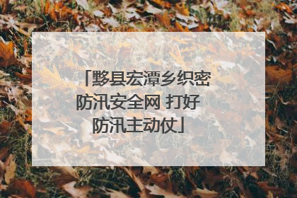 黟县宏潭乡织密防汛安全网 打好防汛主动仗