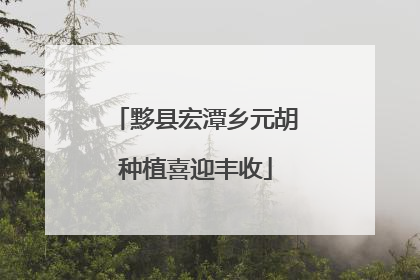 黟县宏潭乡元胡种植喜迎丰收