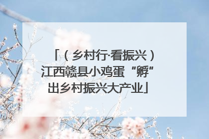 （乡村行·看振兴）江西赣县小鸡蛋“孵”出乡村振兴大产业