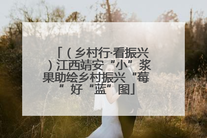 （乡村行·看振兴）江西靖安“小”浆果助绘乡村振兴“莓”好“蓝”图