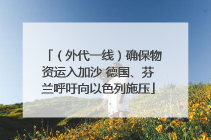 （外代一线）确保物资运入加沙 德国、芬兰呼吁向以色列施压