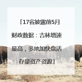 17省披露前5月财政数据：吉林增速最高，多地加快盘活存量资产资源