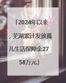 2024年以来，芜湖累计发放孤儿生活保障金2758万元