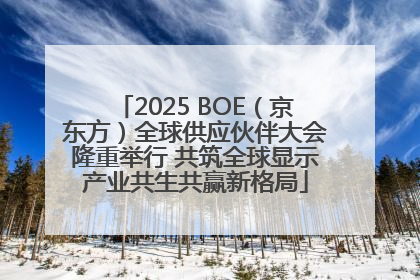 2025 BOE（京东方）全球供应伙伴大会隆重举行 共筑全球显示产业共生共赢新格局