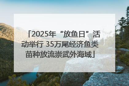 2025年“放鱼日”活动举行 35万尾经济鱼类苗种放流崇武外海域