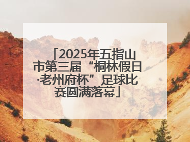 2025年五指山市第三届“桐林假日·老州府杯”足球比赛圆满落幕