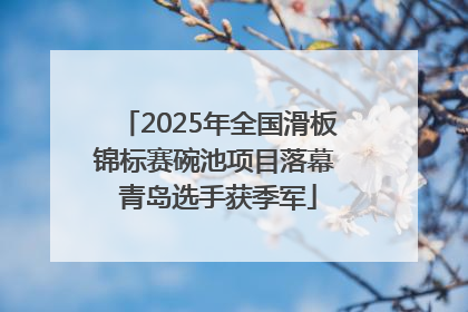 2025年全国滑板锦标赛碗池项目落幕 青岛选手获季军