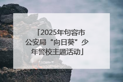 2025年句容市公安局“向日葵”少年警校主题活动