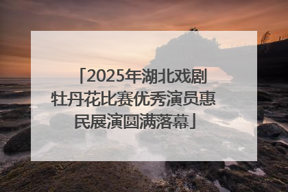 2025年湖北戏剧牡丹花比赛优秀演员惠民展演圆满落幕