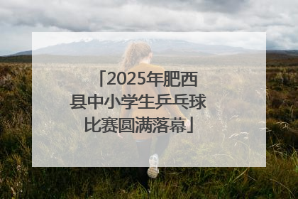 2025年肥西县中小学生乒乓球比赛圆满落幕
