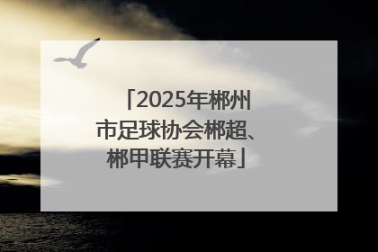 2025年郴州市足球协会郴超、郴甲联赛开幕