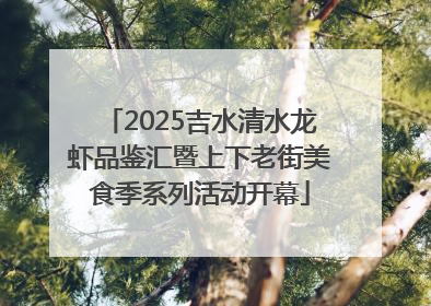 2025吉水清水龙虾品鉴汇暨上下老街美食季系列活动开幕