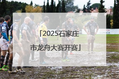 2025石家庄市龙舟大赛开赛