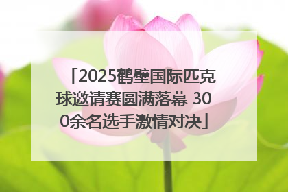 2025鹤壁国际匹克球邀请赛圆满落幕 300余名选手激情对决