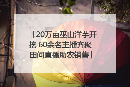 20万亩巫山洋芋开挖 60余名主播齐聚田间直播助农销售