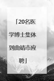 20名医学博士集体到曲靖市应聘