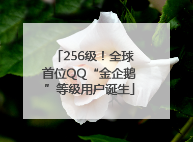 256级！全球首位QQ“金企鹅”等级用户诞生