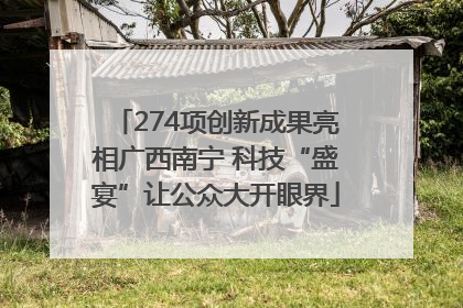 274项创新成果亮相广西南宁 科技“盛宴”让公众大开眼界